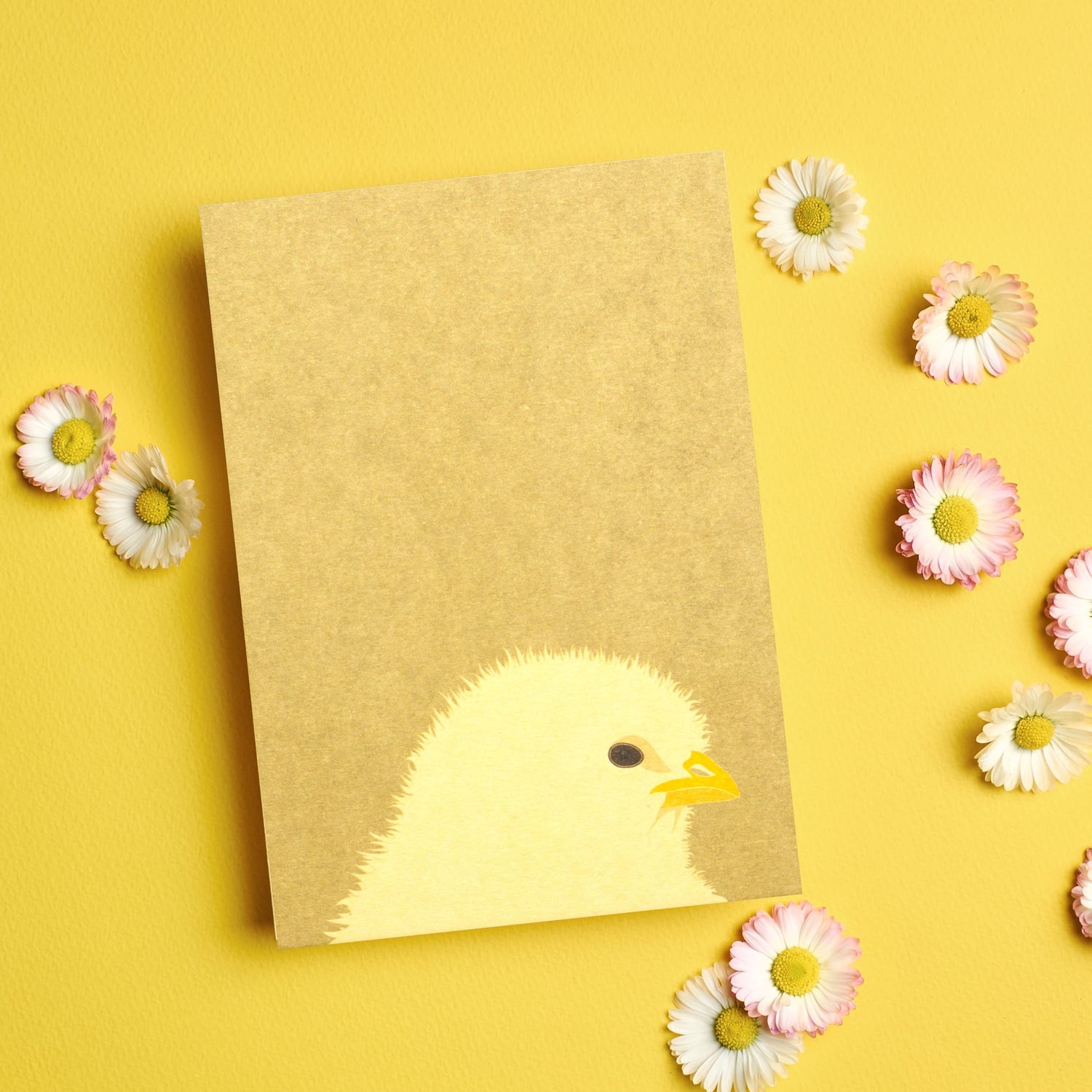 Postkarte "Küken"