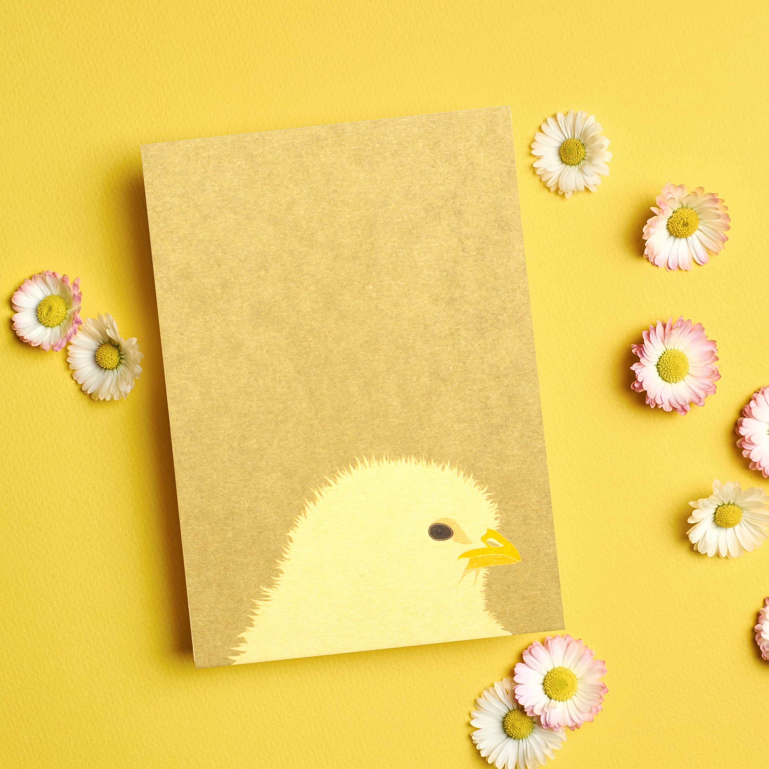 Postkarte "Küken"