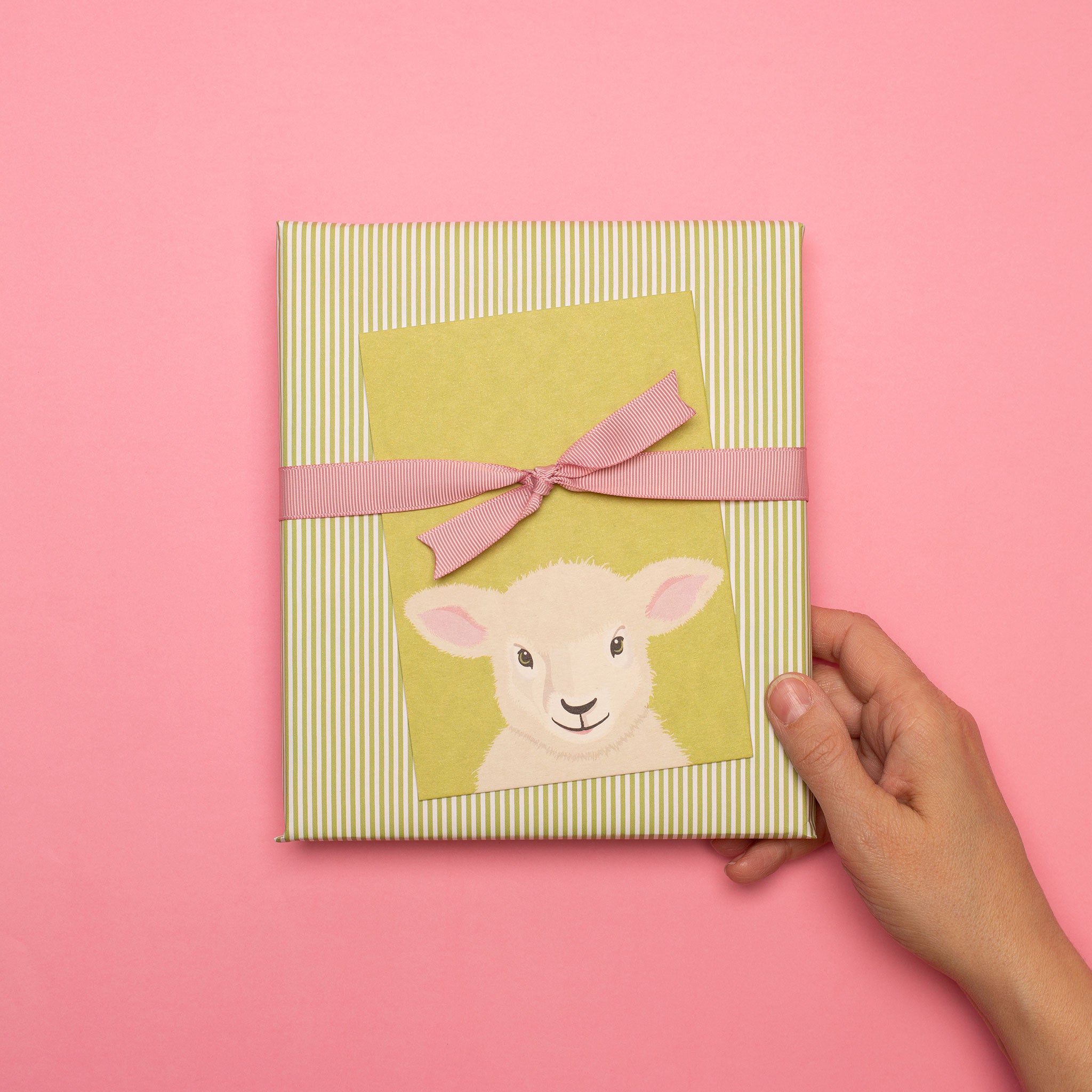 Postcard "Sheep"