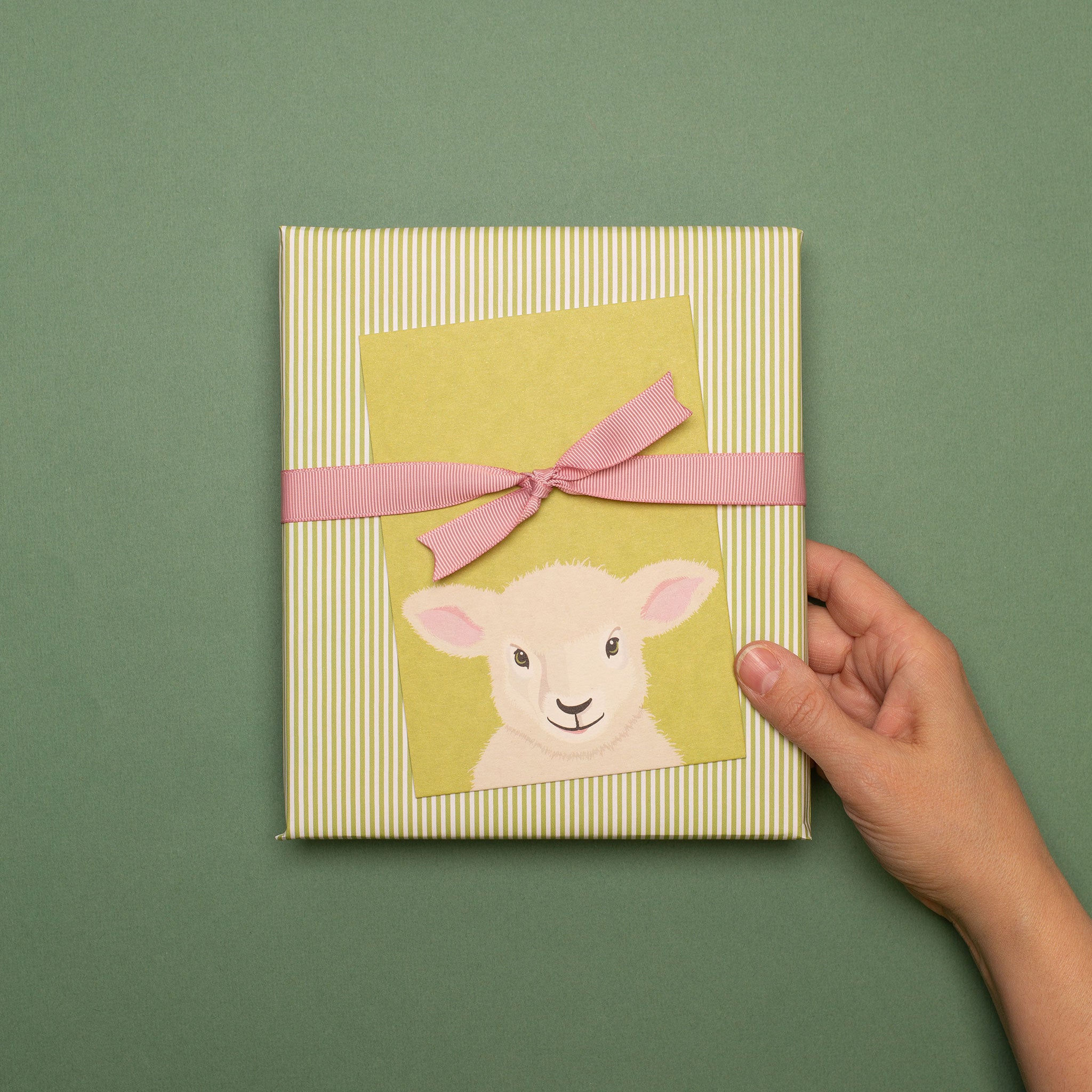 Postcard "Sheep"