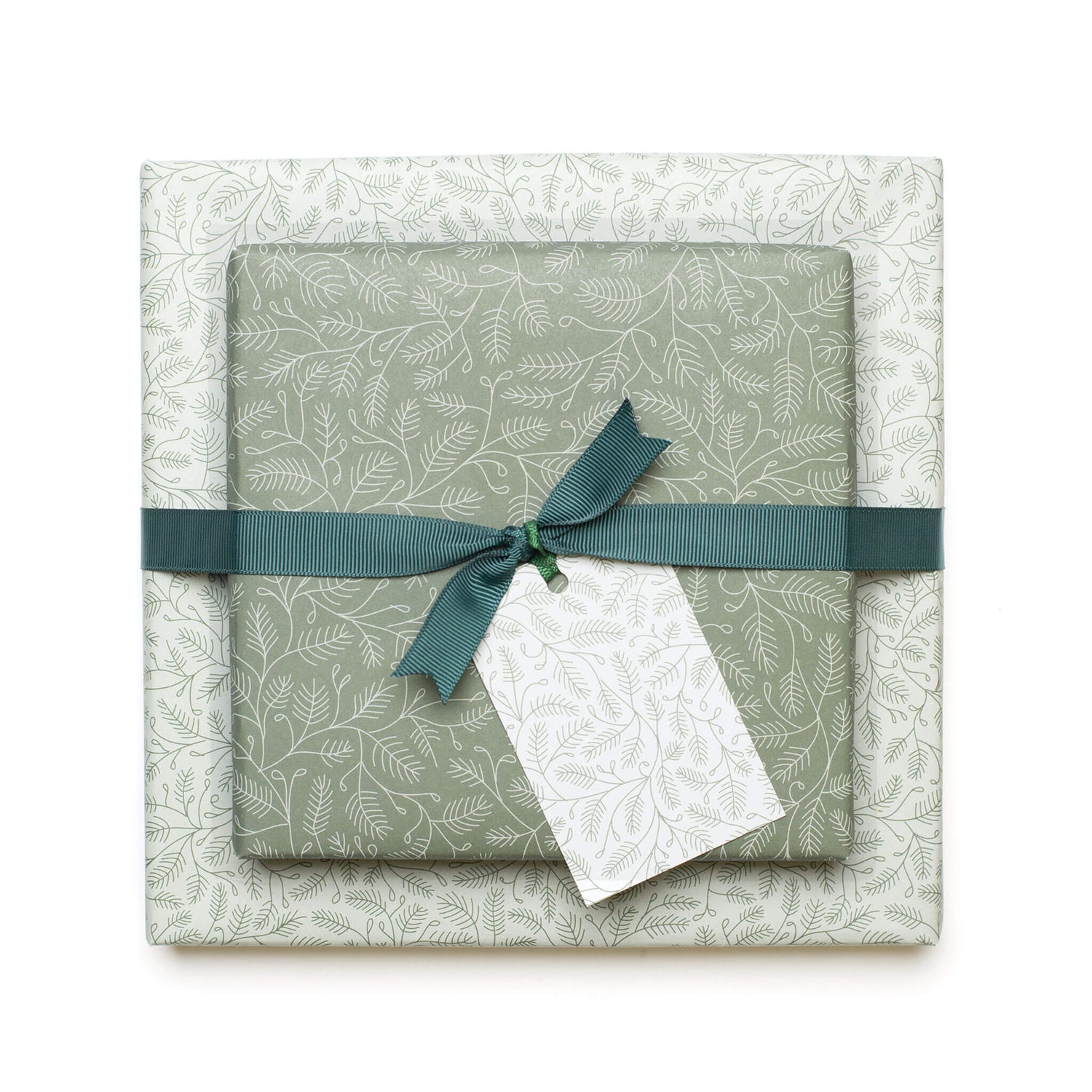 Geschenkanhänger "Zweige" - 5er Set mit Zweigmuster in mint und farblich passendem Band - 100% Recaclingpapier von My Pretty Circus | GT-BRA2202-MI