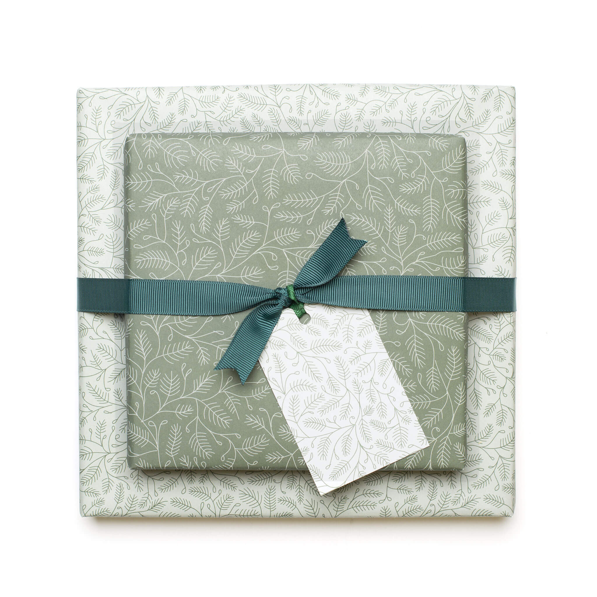Geschenkanhänger "Zweige" - 5er Set mit Zweigmuster in mint und farblich passendem Band - 100% Recaclingpapier von My Pretty Circus | GT-BRA2202-MI