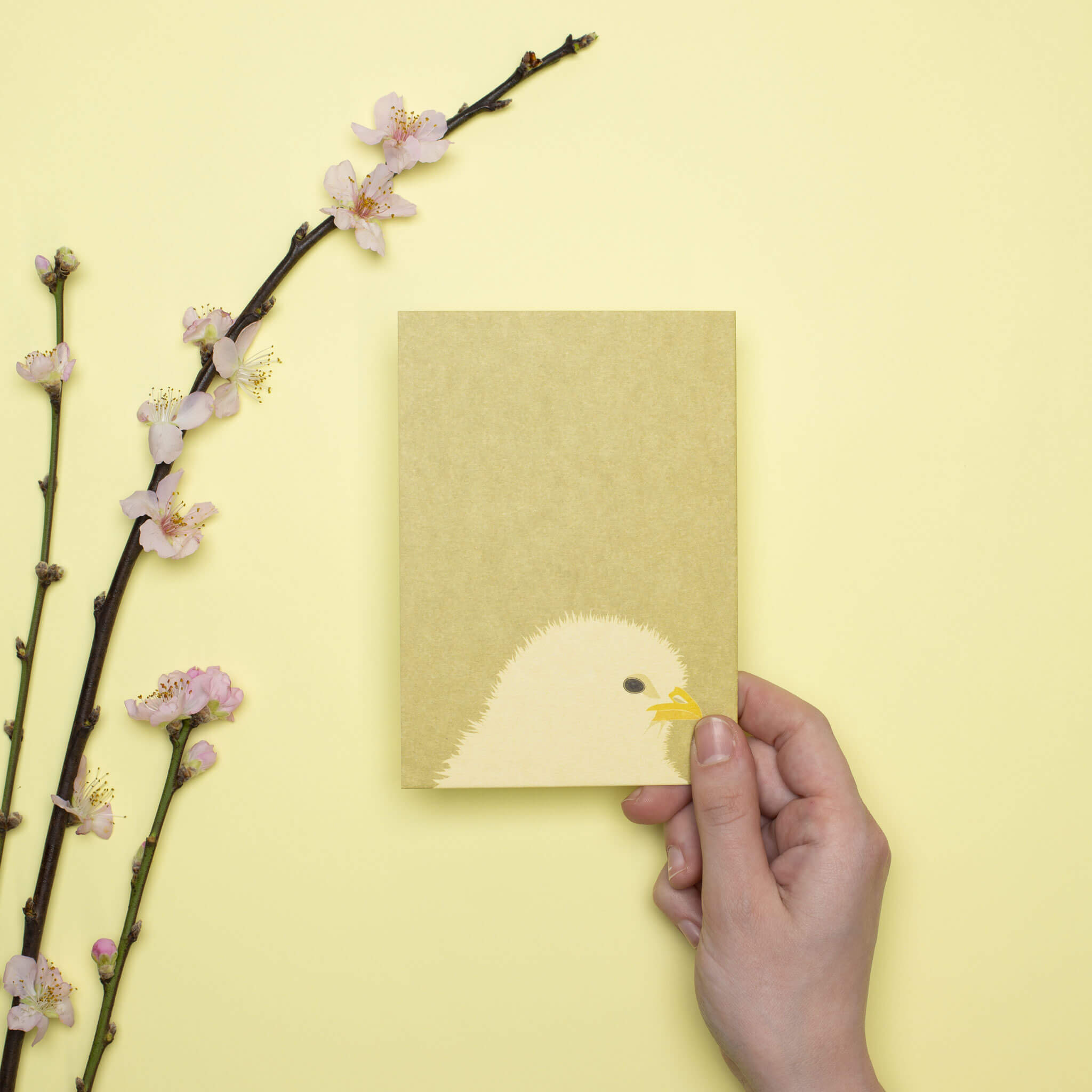 Postkarte "Küken" - stabile Karte aus Holzschliffpappe in hellgrün von My Pretty Circus | PC-CHI2102-YE