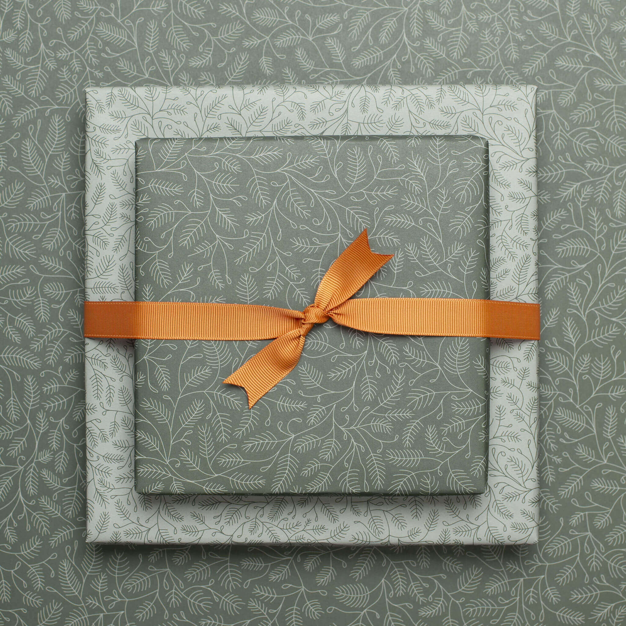 Geschenkband orange: 16mm Rips- Schleifenband | My Pretty Circus |