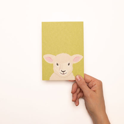 Postcard &quot;Sheep&quot;