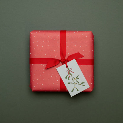 Geschenkanhänger &quot;Mistelzweig&quot; - 5er Set mit Mistelzweig vor mint und farblich passendem Band - 100% Recyclingpapier von My Pretty Circus | GT-MIS17-GR