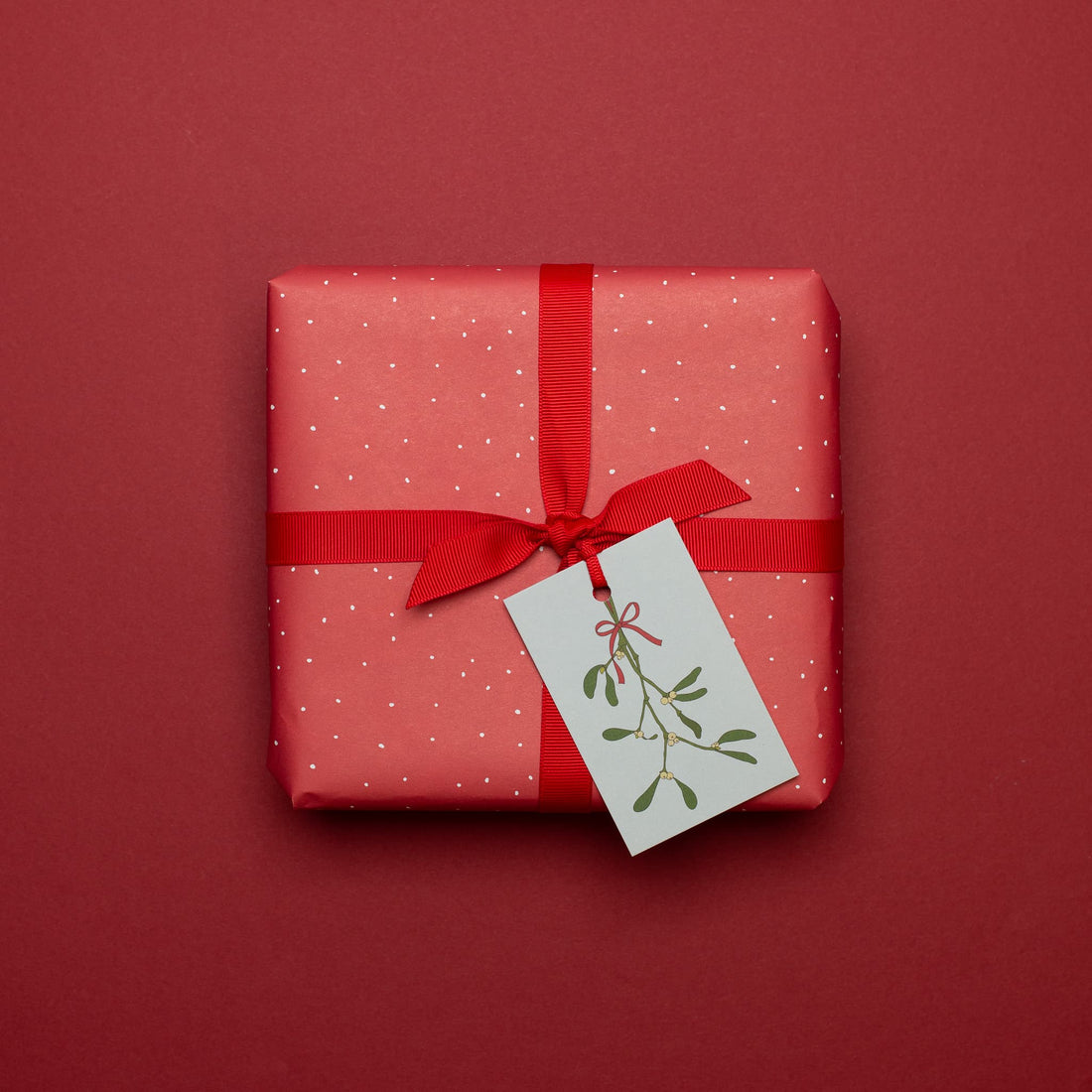 Geschenkanhänger &quot;Mistelzweig&quot; - 5er Set mit Mistelzweig vor mint und farblich passendem Band - 100% Recyclingpapier von My Pretty Circus | GT-MIS17-GR