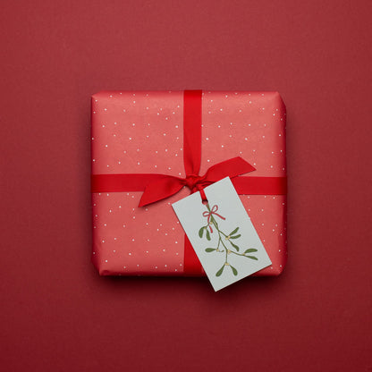 Geschenkanhänger &quot;Mistelzweig&quot; - 5er Set mit Mistelzweig vor mint und farblich passendem Band - 100% Recyclingpapier von My Pretty Circus | GT-MIS17-GR