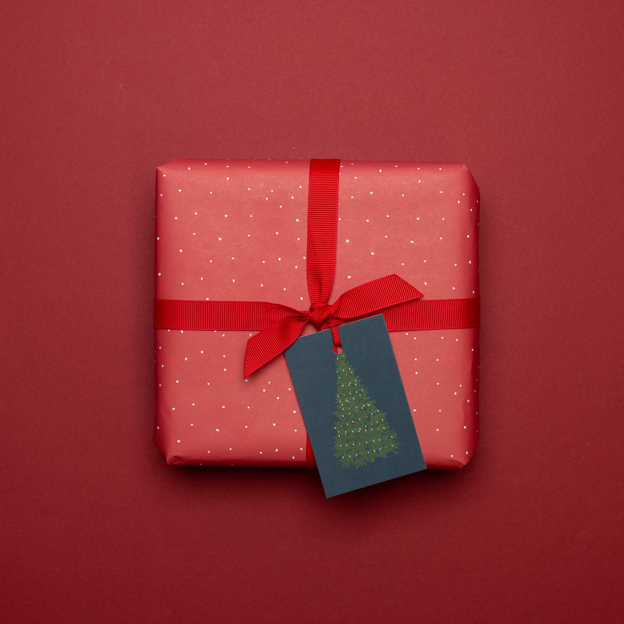 Geschenkanhänger &quot;Weihnachtsbaum&quot; - 5er Set mit Tannenbaum vor blau unf farblich passendem Band - 100% Recyclingpapier von My Pretty Circus | GT-XMA006-DB
